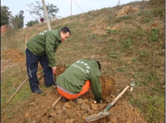 水庫類白蟻防治操作